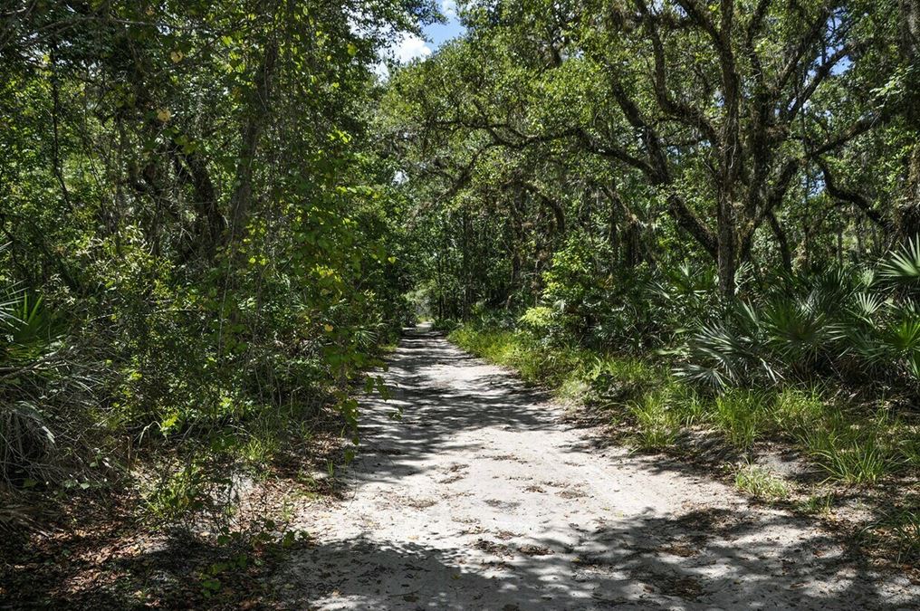 +/- 106.7 Acres near Lake Harney