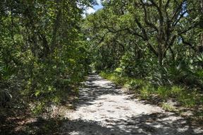 +/- 106.7 Acres near Lake Harney