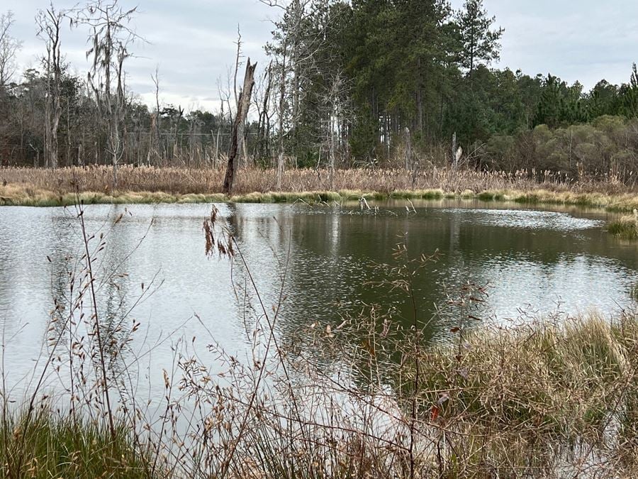 89 Acres in Early County, GA : Riverfront Property with Cabin and Outstanding Hunting Land