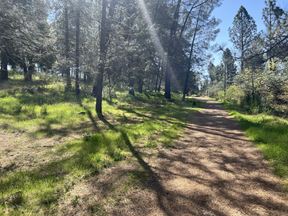 Litton Business Park | Ridge Road Lot 13 & 14