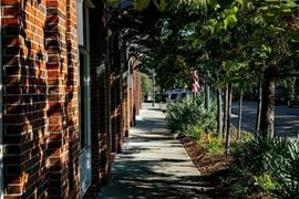 Lake City, Florence County, SC Manufactured Housing Land/Home Site or Workforce Housing Multifamily Site. No Zoning Meaning Your Blank Slate