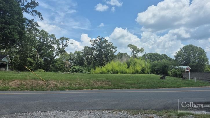 For Sale: Commercial Lots