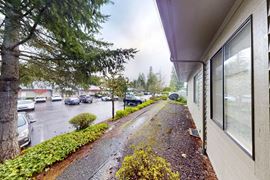 Yauger Medical Park