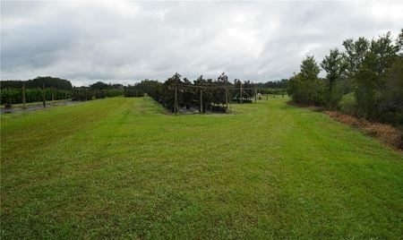 VacantLand space for Sale at Douglas Rd in Groveland