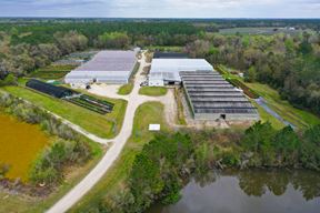 Alachua County Propagation Nursery