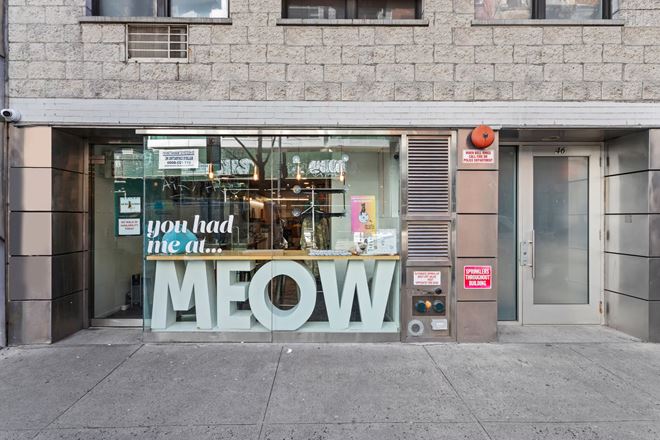 46 Hester St