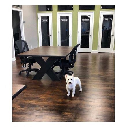 CoWorkTampa