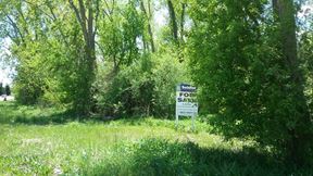 6 Acres on South State in Ann Arbor for Sale