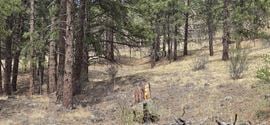 15+ Acres of Commercial Land