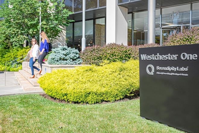 Serendipity Labs - White Plains Downtown
