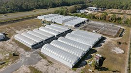 Turnkey Medical Cannabis Site