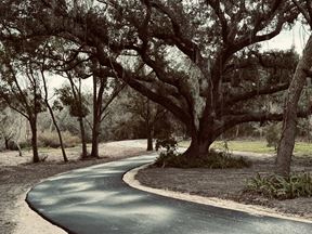 Executive Homesite - 4.19 Acres, Florida