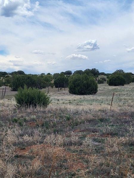 VacantLand space for Sale at Bullion Rd in Moriarty
