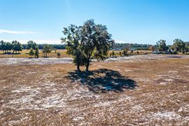 O'Brien 18 Acre Homestead