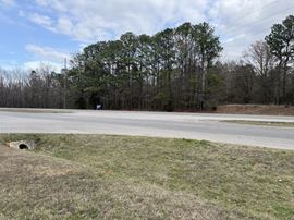 120 Acres Commercial to Develop BHM AL