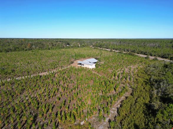 202 Acres in Northwest Florida –Timber, Hunting & Coastal Access