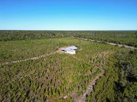 202 Acres in Northwest Florida –Timber, Hunting & Coastal Access