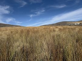 694.8 Acres TBD West Pocatello Creek Road