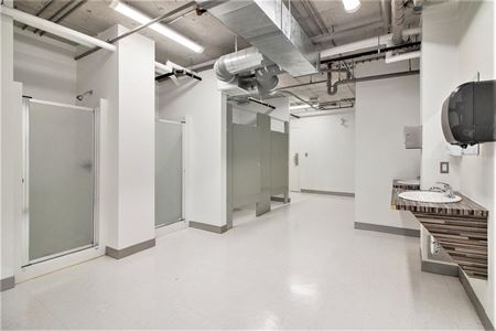 Lower Level Space Space Photo Gallery 6