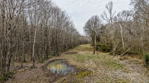 ±53.70-Acre Recreational Tract for Sale in Clinton, SC