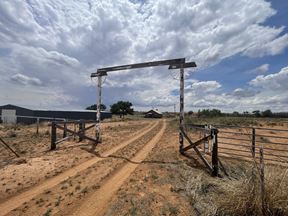 45.75 Acres N CR 2000