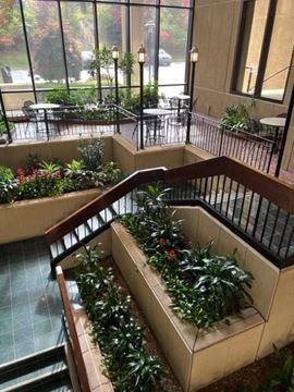 1767 SF Suite 645 Professional and Medical Office Space