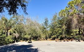 905 Royal Palm Drive