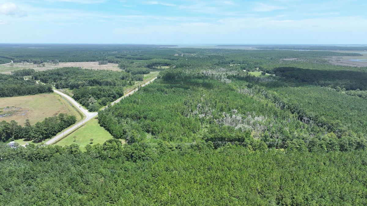 430 Development Acres in McIntosh County Georgia