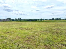 Rutledge Mini Farm