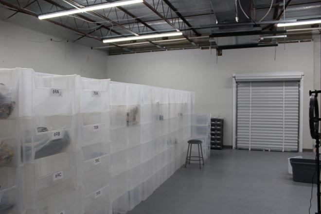 Flex-Office Space: 220 Business Park