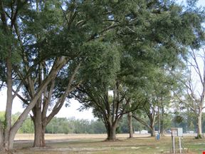 O'Brien 18 Acre Homestead
