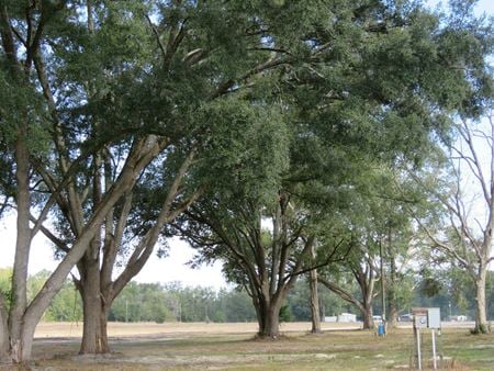 VacantLand space for Sale at 49th Road in O'Brien