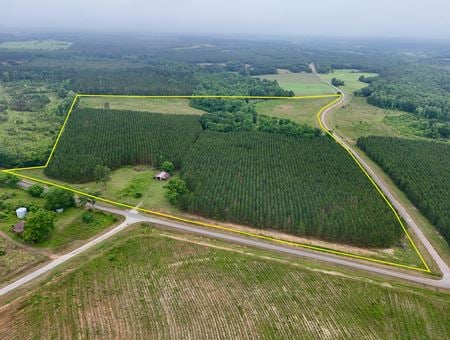 VacantLand space for Sale at 0 County Road 75 in Clopton