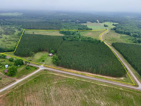 Searcy Branch Timber and Rec