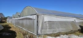 3.25± Acres with 29,000± SF Greenhouses + 2,000± SF Storage/Office (Well, 3-Phase, Near US-27)