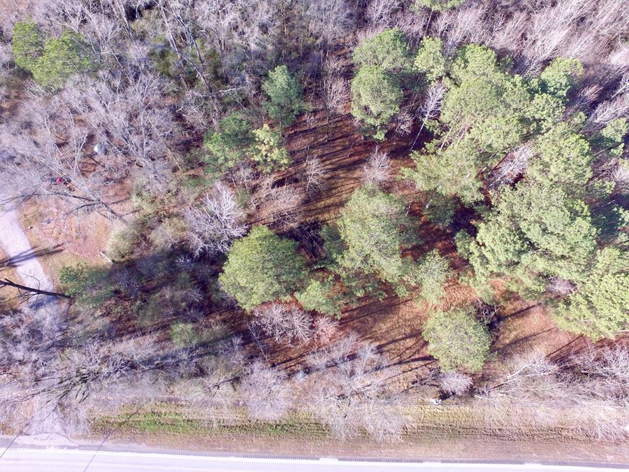 00 Us Hwy 31