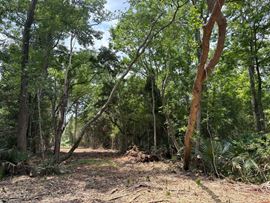 Land for Sale - Bushy Park Rd
