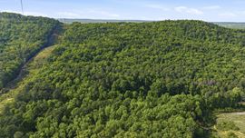 Bristow Gap 39 Acre Recreational Tract