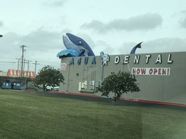 Palmhurst Plaza