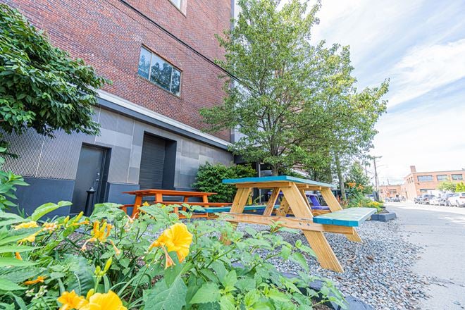 The Hive, 561 Windsor St.