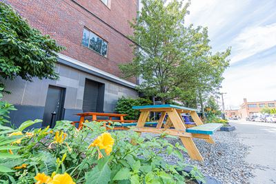 The Hive, 561 Windsor St.
