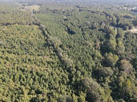 Beatrice Hunting Tract