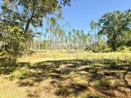 Land for Development | 7210 Hwy 49 North