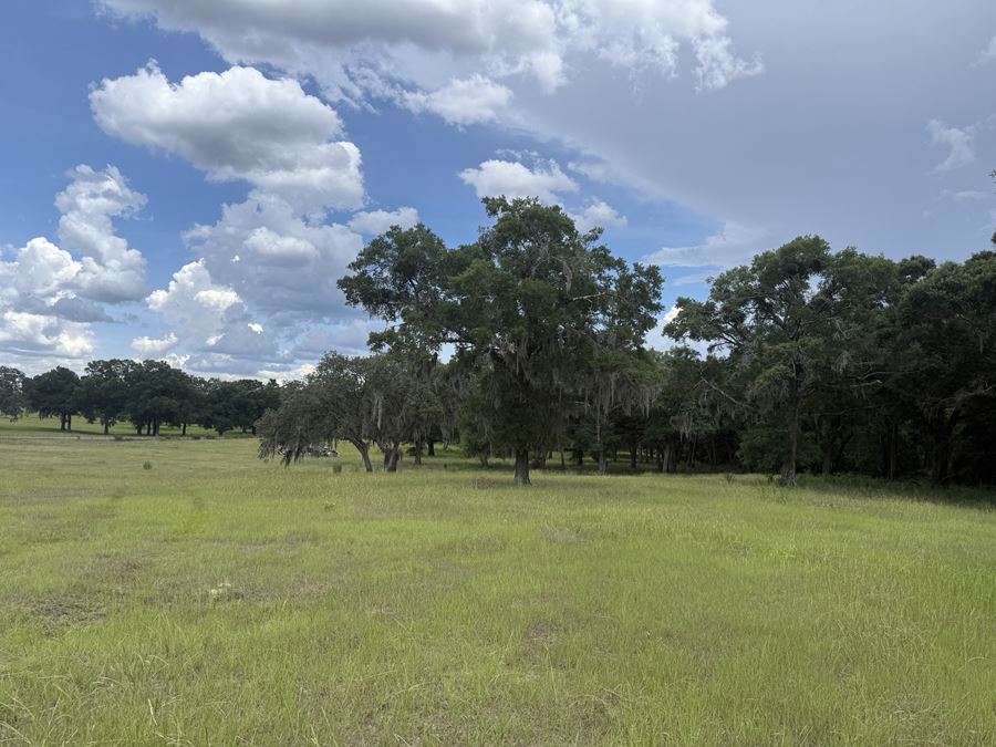 29± Acre Marion County Ranchette