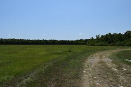 9621 FM 521, Rosharan, Fort Bend 77583