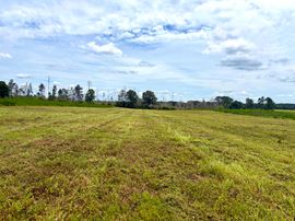Rutledge Mini Farm