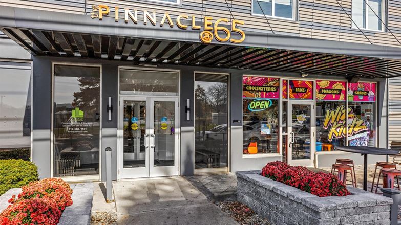 The Pinnacle @ 65