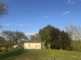 RED OAK AUCTION