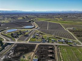 Occidental Orchards