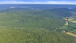 West Dempsey 339 Acres